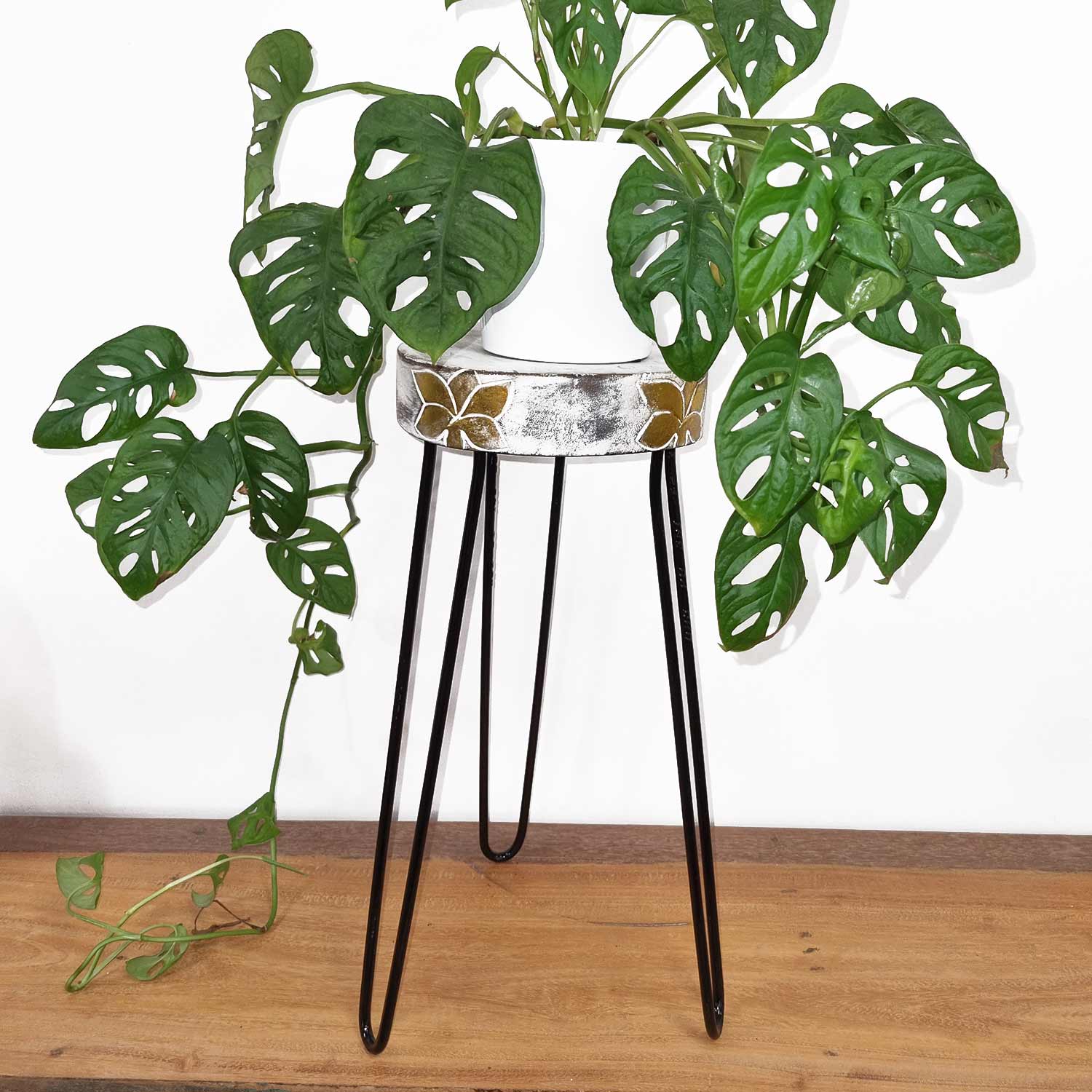Albasia Wood Plant Stands - ShopGreenToday