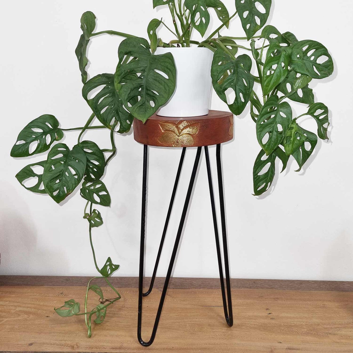 Albasia Wood Plant Stands - ShopGreenToday