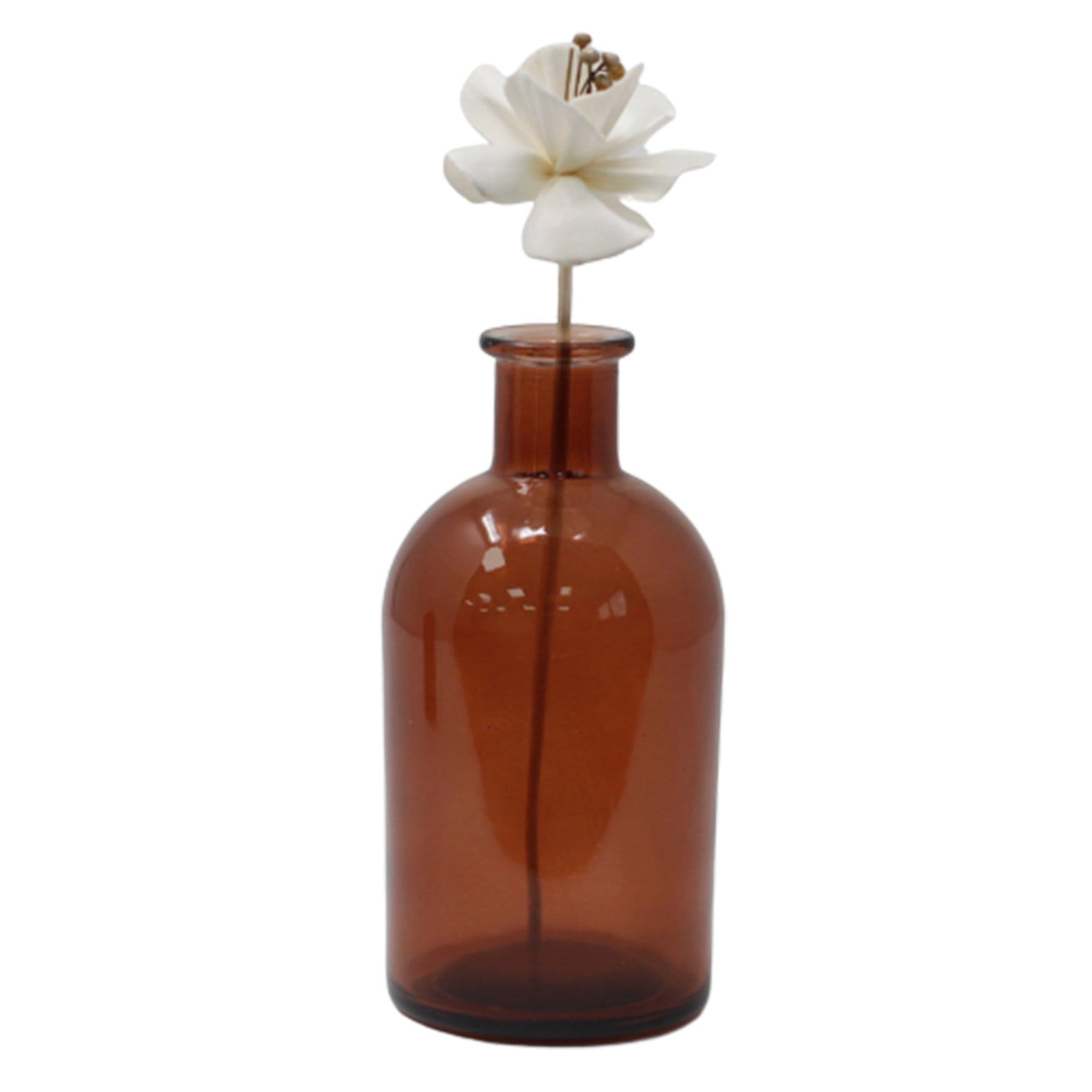 12 x Natural Diffuser Flowers on Reed - ShopGreenToday