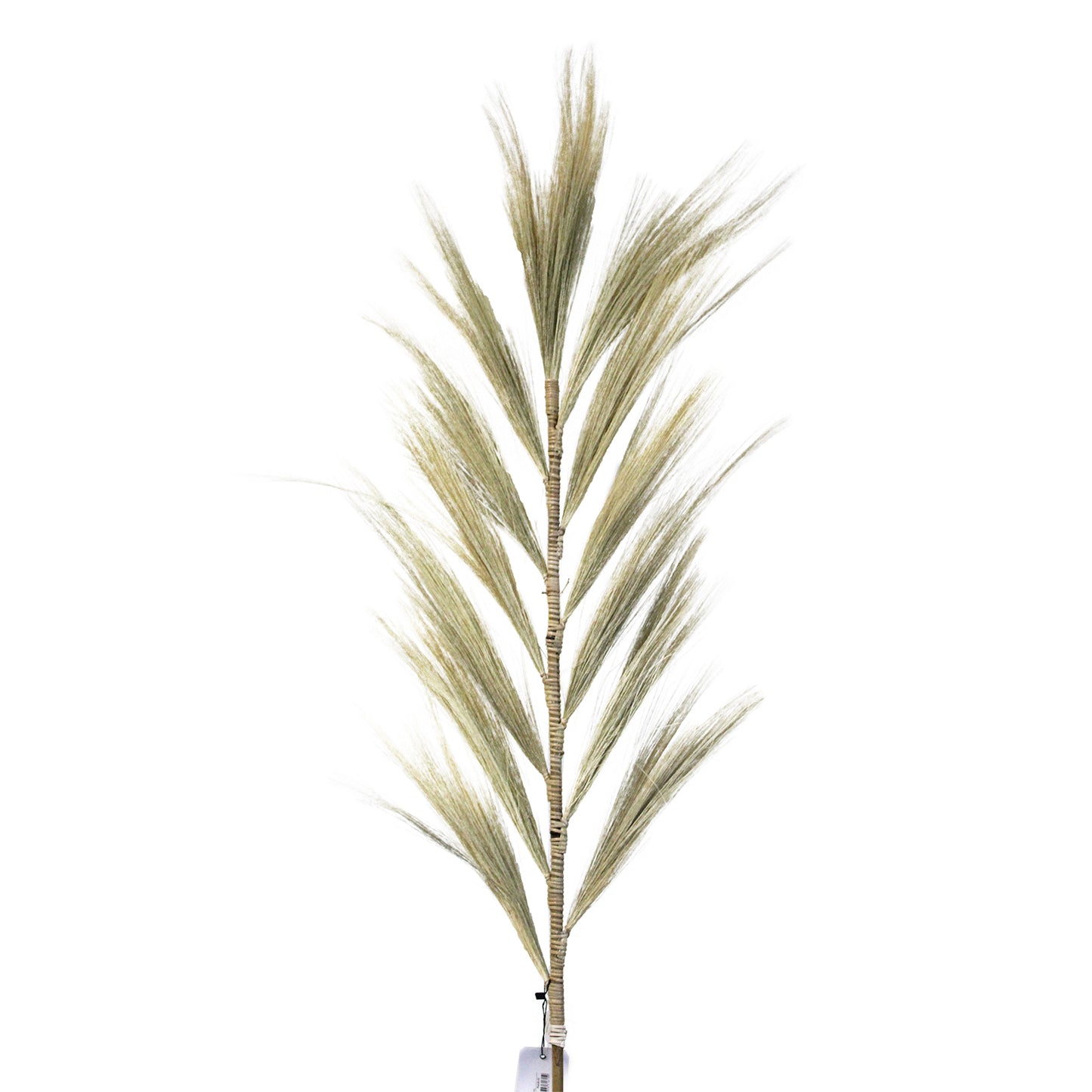 3 x Rayung Grass Blond - 1.6m