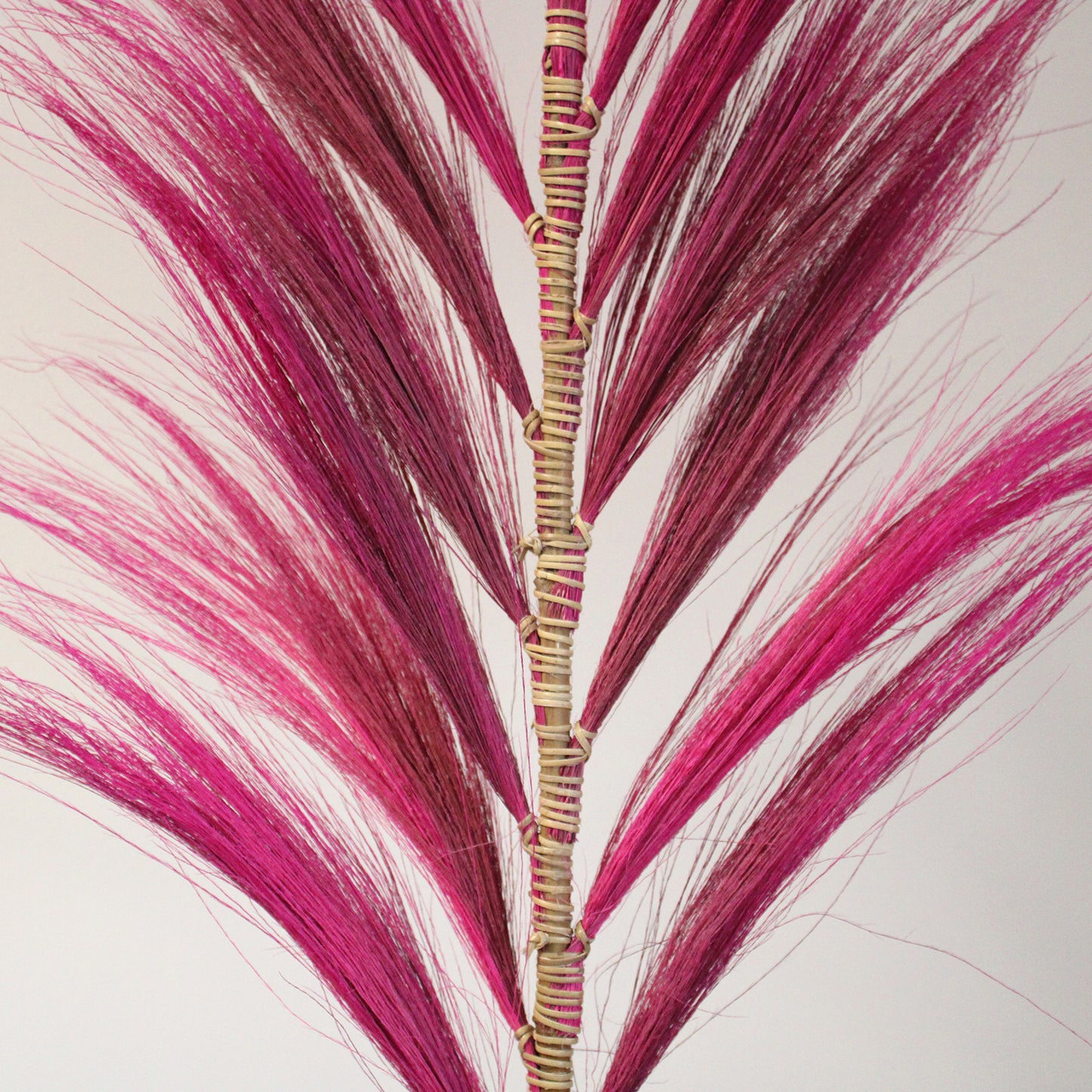 3 x Rayung Grass Pink- 1.6m
